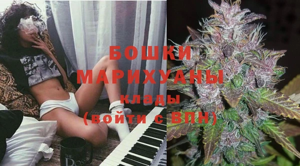 СК Бронницы