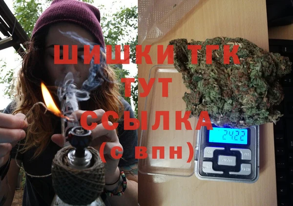 СК Бронницы