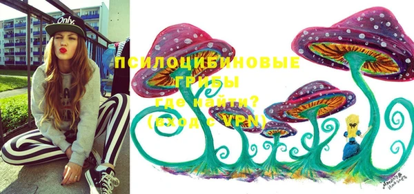 mdma Бородино