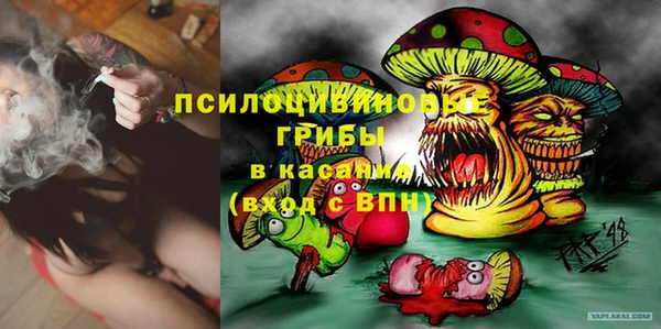 mdma Бородино