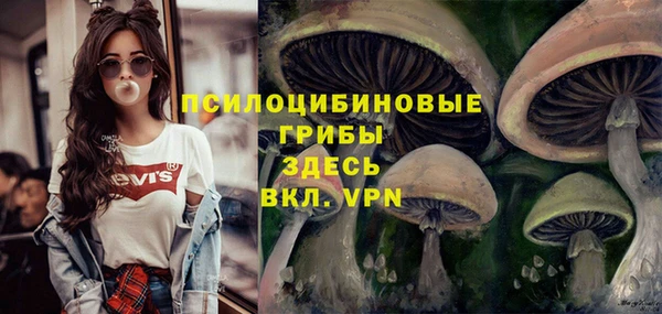 СК Бронницы