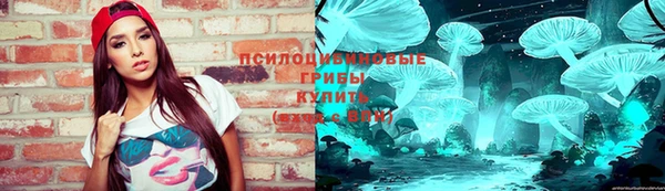 СК Бронницы