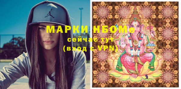СК Бронницы